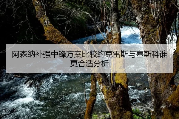阿森纳补强中锋方案比较约克雷斯与塞斯科谁更合适分析